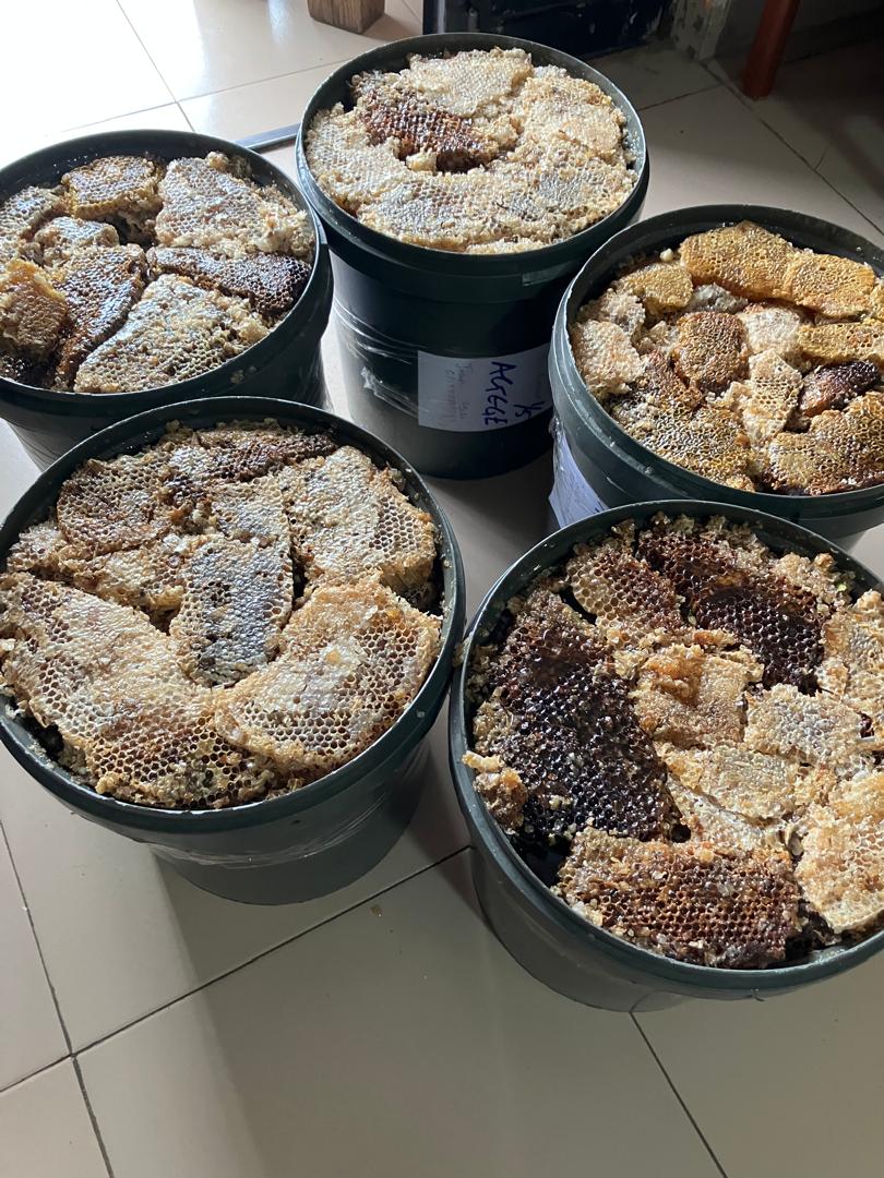 Fresh honeycomb in harvesting buckets