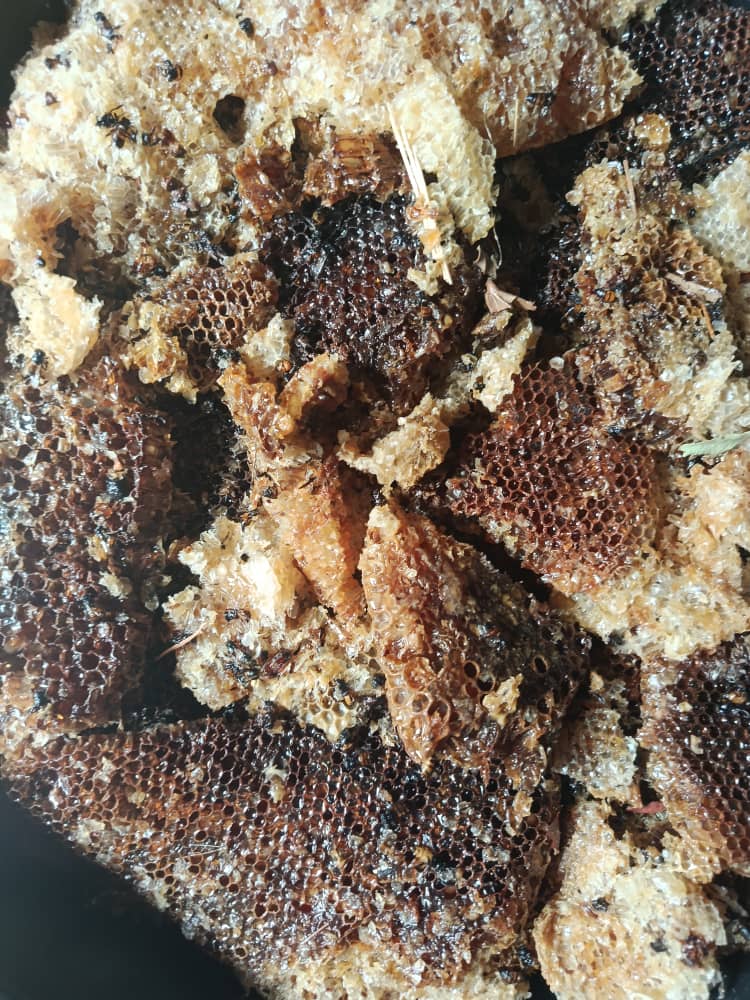 Raw honeycomb close-up
